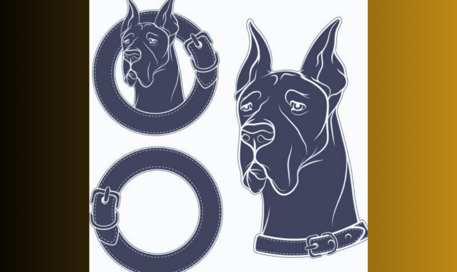 Dogs collar