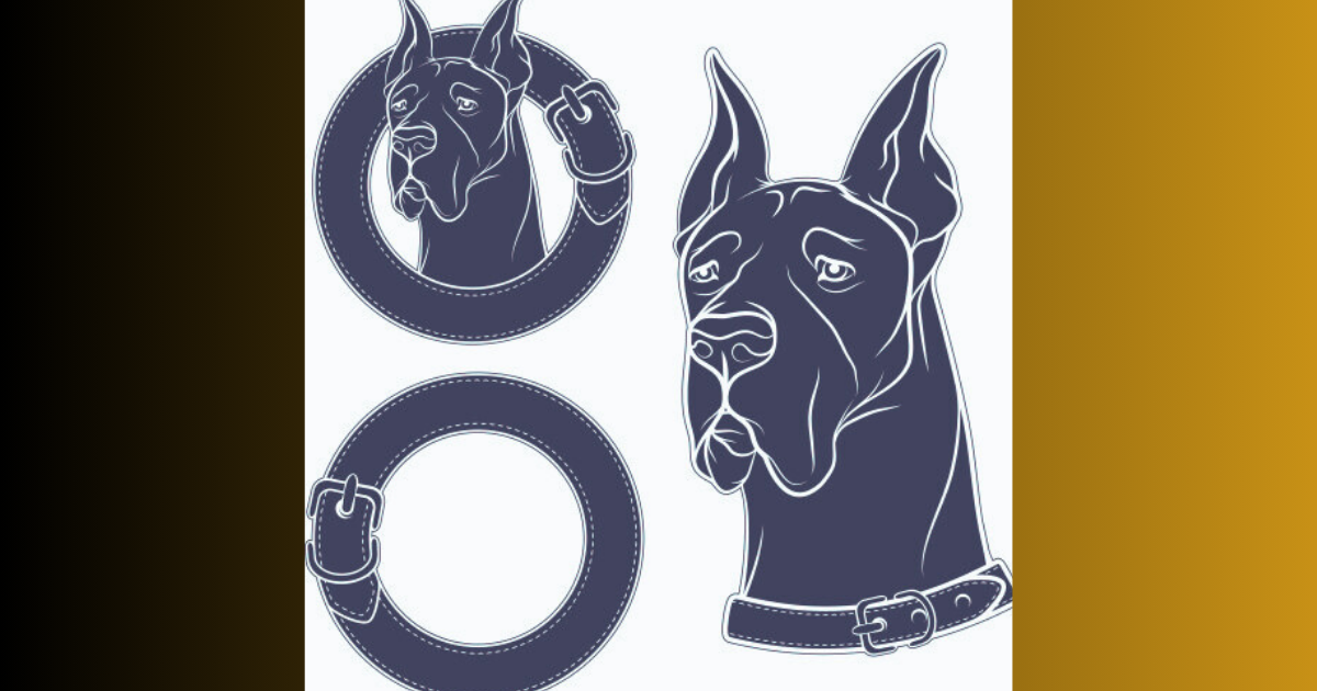 A Journey Through History: The Evolution and Significance of Dogs Collar